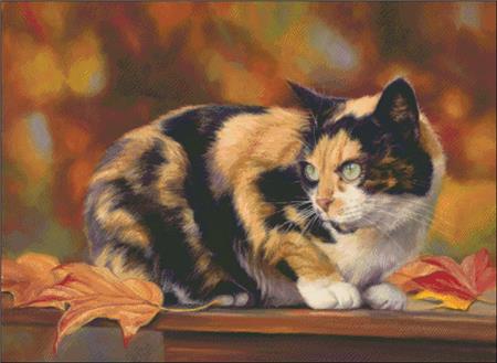 click here to view larger image of Calico In The Fall (chart)