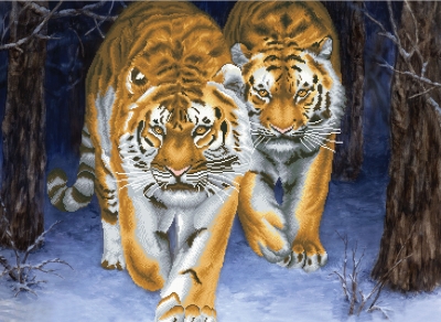 click here to view larger image of Stalking Tigers (stamped cross stitch kit)