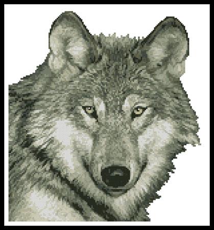 click here to view larger image of Wolf Close Up - No Background (chart)
