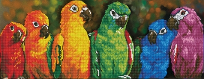 click here to view larger image of Rainbow Parrots (Diamond Embroidery)