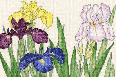 click here to view larger image of Iris Blooms (counted cross stitch kit)