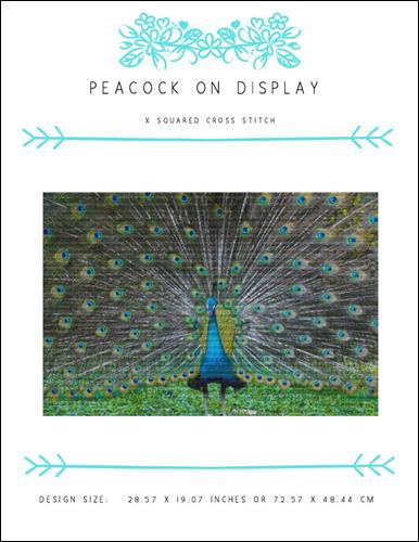 click here to view larger image of Peacock On Display (chart)