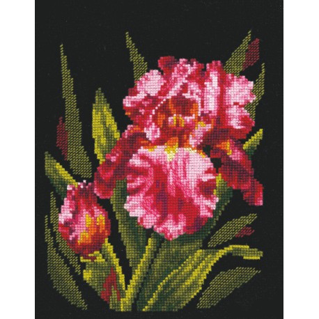 click here to view larger image of Velvet Iris (counted cross stitch kit)