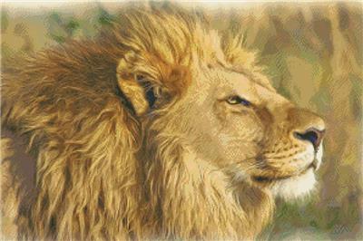 click here to view larger image of Lion Portrait (chart)