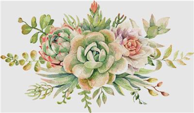 click here to view larger image of Arrangement of Succulents (chart)