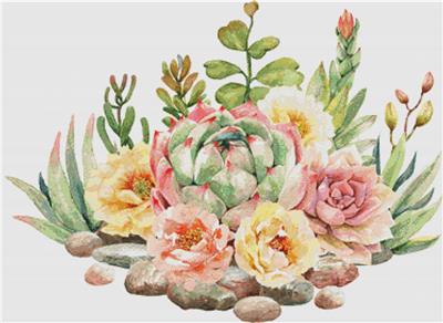 click here to view larger image of Arrangement of Succulents I (chart)