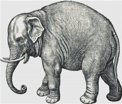 click here to view larger image of Vintage Elephant (chart)
