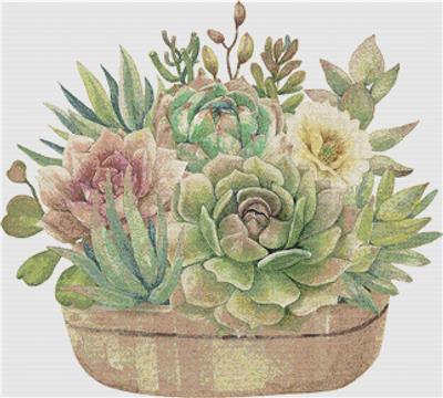 click here to view larger image of Arrangement of Succulents III (chart)