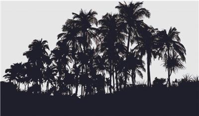 click here to view larger image of Silhouette of Palm Trees (chart)