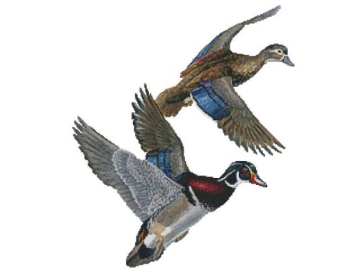 click here to view larger image of Lakeside Wood Duck (No Background) - Randy McGovern (chart)