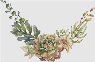 click here to view larger image of Arrangement of Succulents and Flowers (chart)