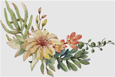 click here to view larger image of Arrangement of Flowers and Succulents V (chart)