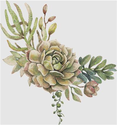 click here to view larger image of Arrangement of Succulents VII (chart)