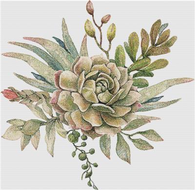click here to view larger image of Arrangement of Succulents VIII (chart)
