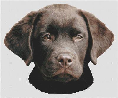 click here to view larger image of Chocolate Lab Puppy 2 (chart)