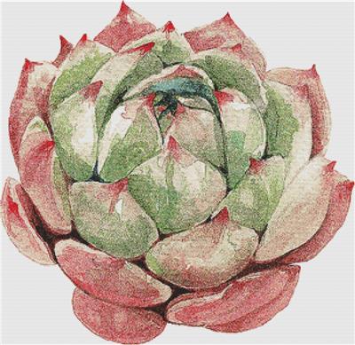 click here to view larger image of Large Single Succulent (chart)