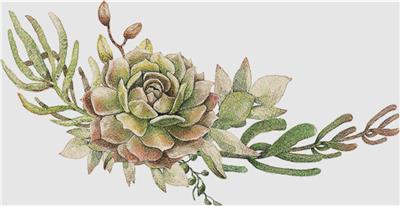 click here to view larger image of Arrangement of Succulents IX (chart)