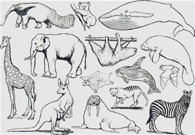 click here to view larger image of Set of Exotic Animals (chart)