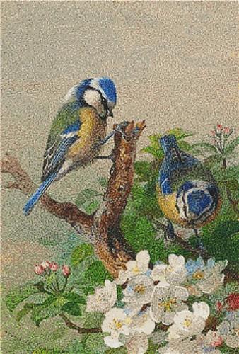 click here to view larger image of Two Blue Tits on a Tree Branch (chart)
