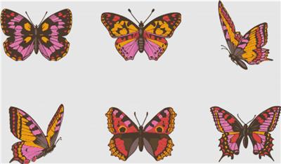 click here to view larger image of Set of Colourful Butterflies (chart)