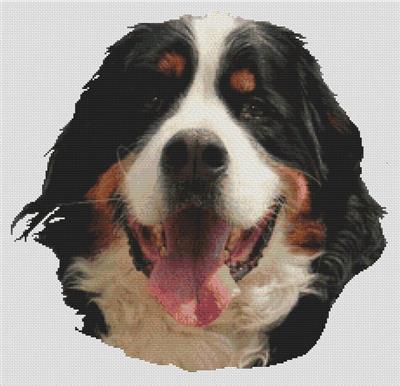 click here to view larger image of Bernese Mountain Dog (chart)