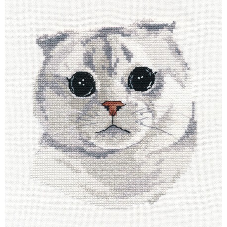 click here to view larger image of Scottish Fold (counted cross stitch kit)