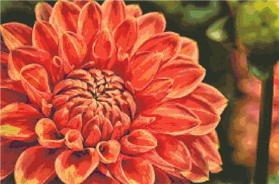 click here to view larger image of Dahlia in Orange and Coral (chart)