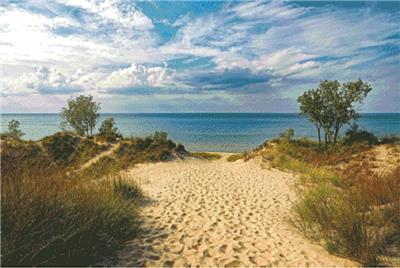 click here to view larger image of Indiana Dunes State Park (chart)