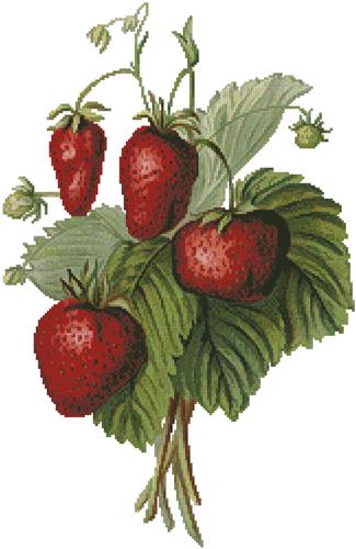 click here to view larger image of Strawberries Painting (chart)