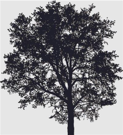 click here to view larger image of Tree Silhouette (chart)