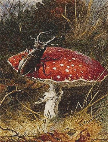 click here to view larger image of Stag Beetle on a Toadstool, A (chart)