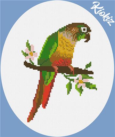 click here to view larger image of Green Cheeked Conure (chart)