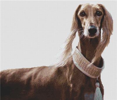 click here to view larger image of Saluki Beauty (chart)
