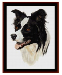 click here to view larger image of Border Collie - Robert J May (chart)