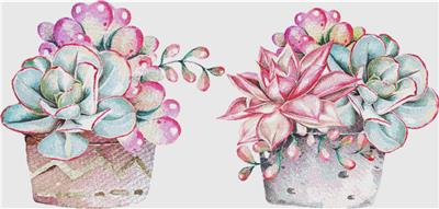 click here to view larger image of Set of Succulents In Pots (chart)