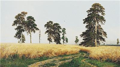 click here to view larger image of Rye Field, A (chart)