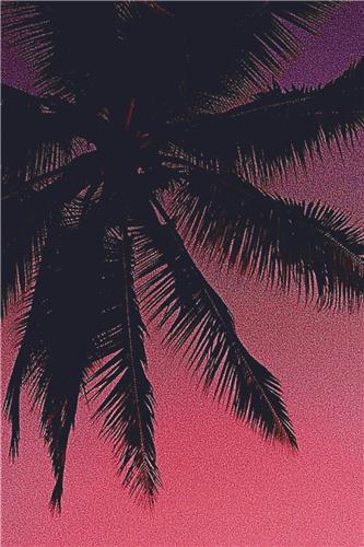 click here to view larger image of Sunset in a Tropical Paradise (chart)