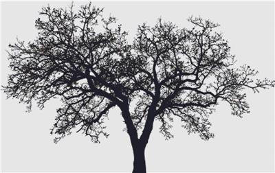 click here to view larger image of Tree Silhouette III (chart)