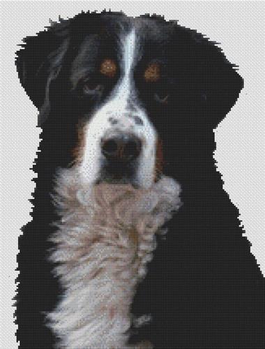 click here to view larger image of Bernese Mountain Dog 2 (chart)