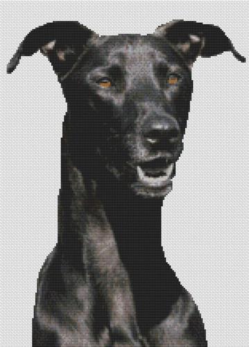 click here to view larger image of Black Greyhound (chart)
