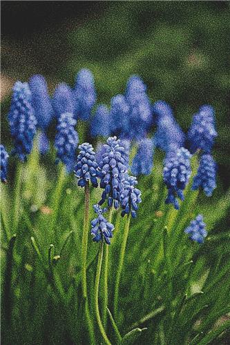click here to view larger image of Blue Spring Flowers (chart)