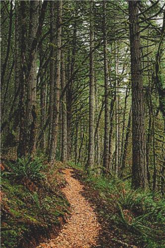 click here to view larger image of Trail Through the Forest (chart)