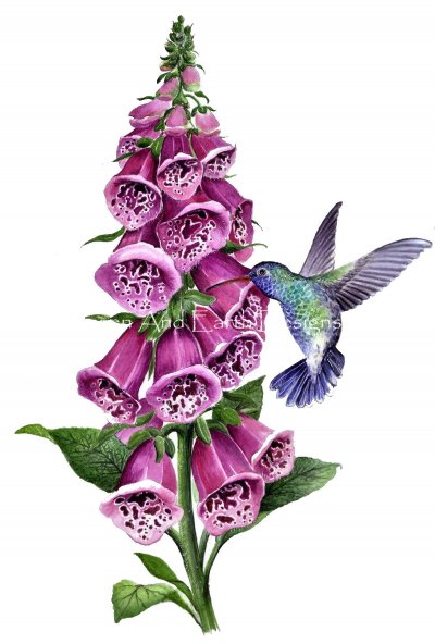 click here to view larger image of Hummingbird on Foxglove (chart)