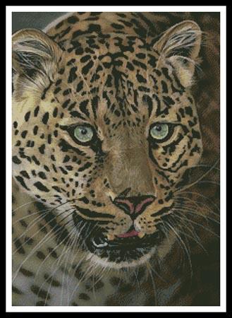 click here to view larger image of After Dark all Cats are Leopards (Karie-Ann Cooper) (chart)