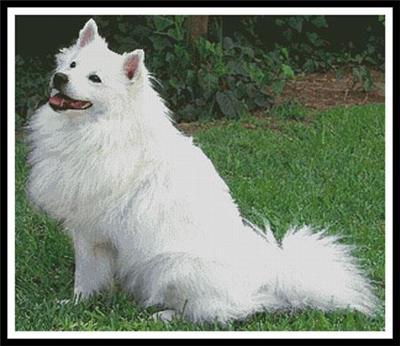 click here to view larger image of American Eskimo Dog 1 (chart)