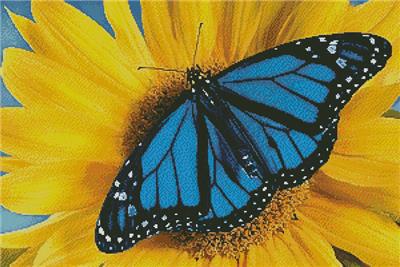 click here to view larger image of Blue Monarch Sunflower (chart)