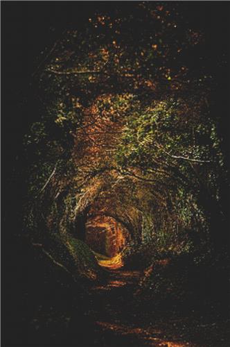 click here to view larger image of Old Forest Tree Tunnel (chart)