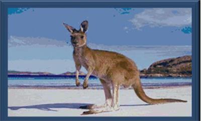 click here to view larger image of Australian Wildlife (chart)