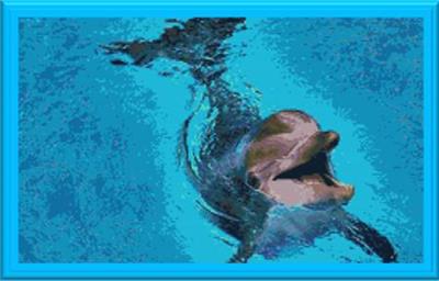 click here to view larger image of Dolphin Tale (chart)