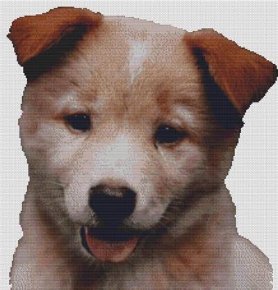 click here to view larger image of Red Australian Cattle Dog Puppy (chart)
